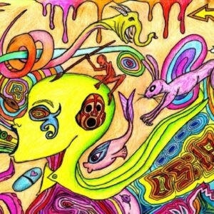LSD (Lysergic Acid Diethylamide)