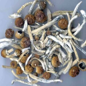 Big Mex Magic Mushrooms