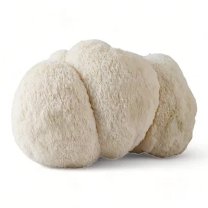 lion's mane mushroom uk-silverlinemagicmushrooms