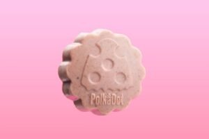 Polka Dot Mushroom Chocolate