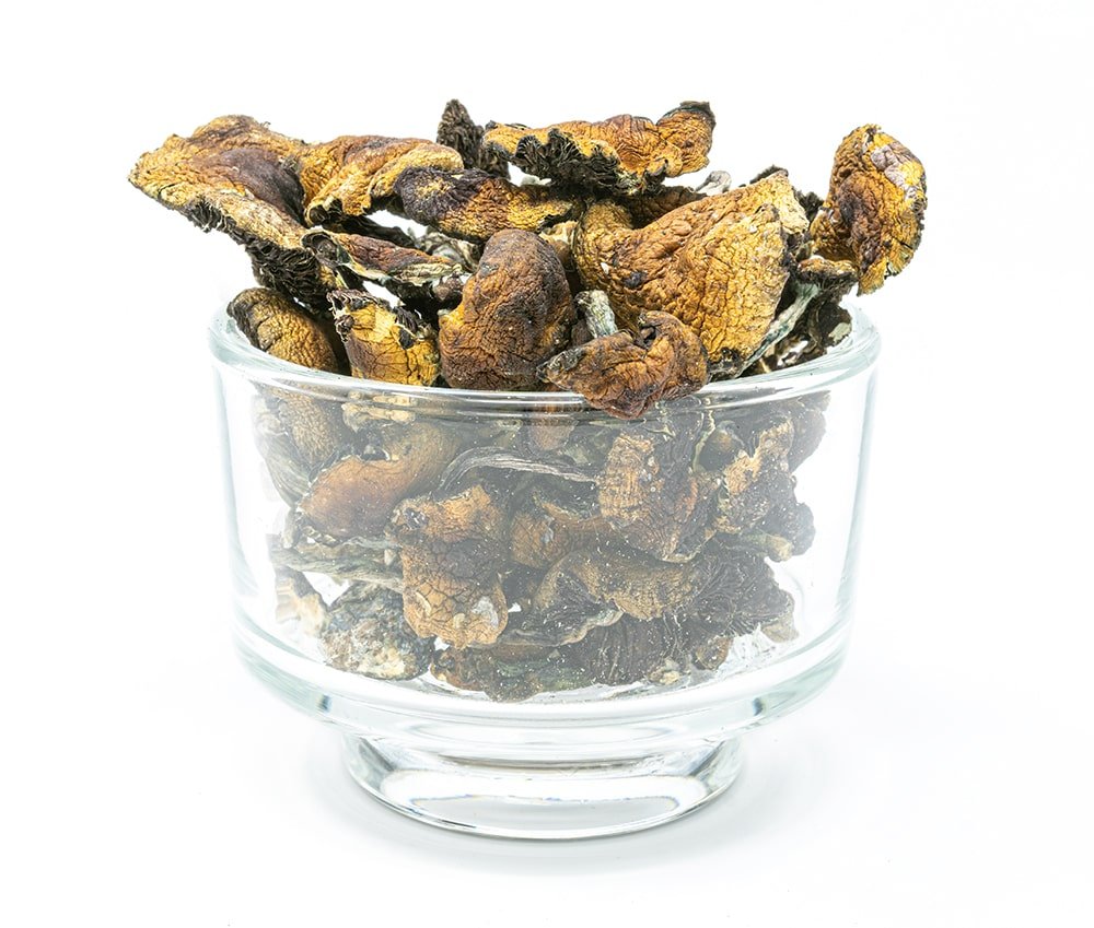 malabar-mcshrooms.jpg