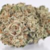 Gorilla Glue Strain-silverlinemagicmushrooms