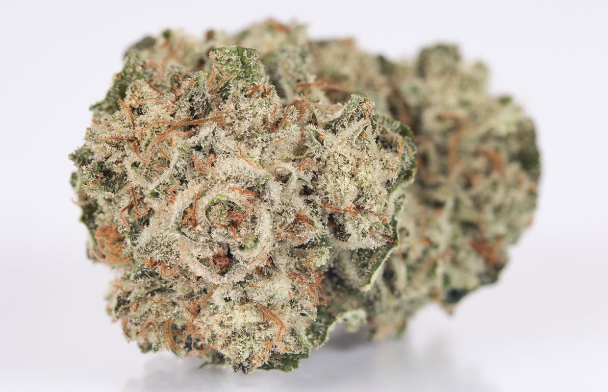Gorilla Glue Strain-silverlinemagicmushrooms Gorilla Glue Strain-silverlinemagicmushrooms