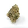 orangeade strain