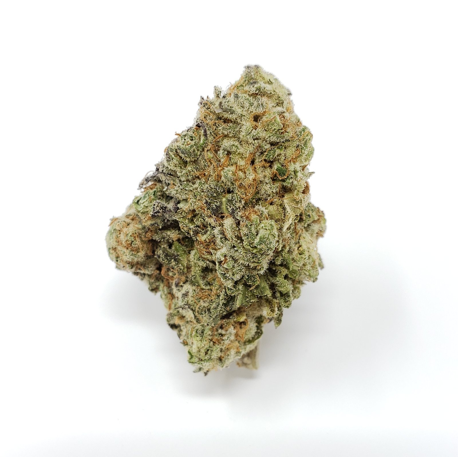 orangeade strain orangeade strain