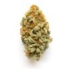 now and later strain -silverlinemagicmushrooms