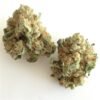 White Widow Strain-silverlinemagicmushrooms