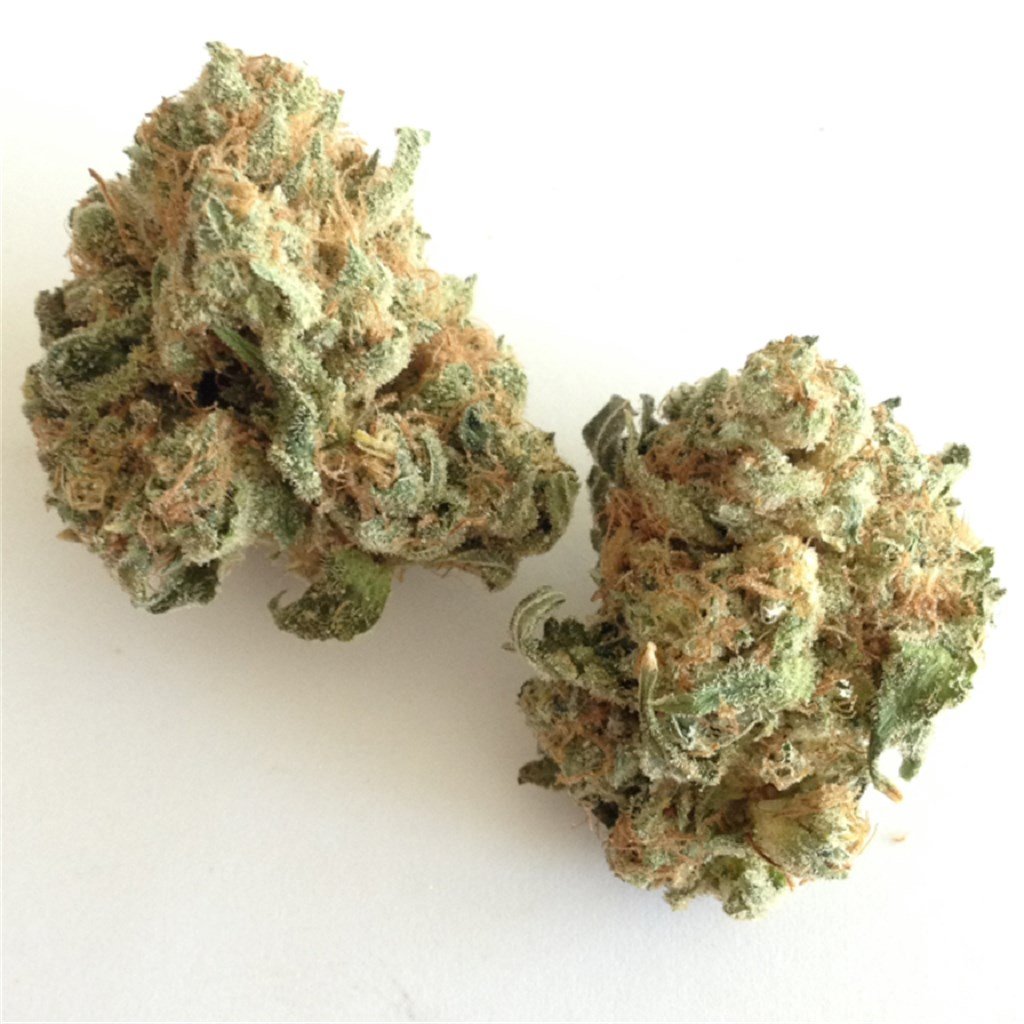 White Widow Strain-silverlinemagicmushrooms White Widow Strain-silverlinemagicmushrooms