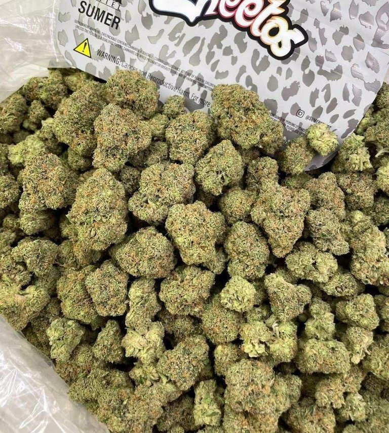 Zheetos Strain-silverlinemagicmushrooms Zheetos Strain-silverlinemagicmushrooms